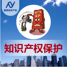 知识产权保护